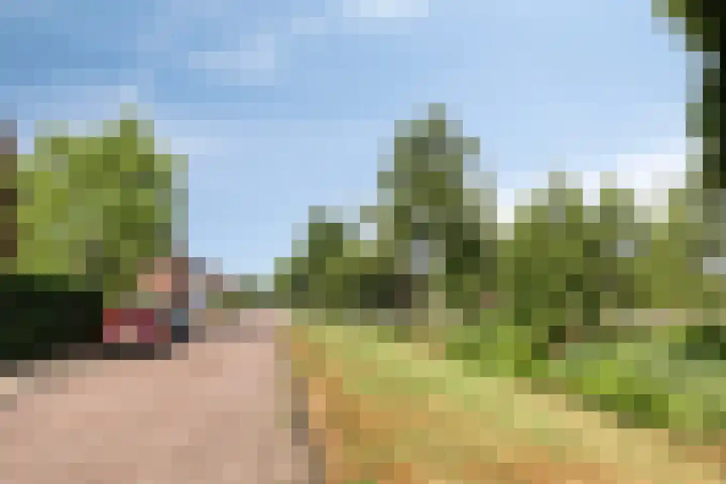 Es 33 Leek thumbnail 33