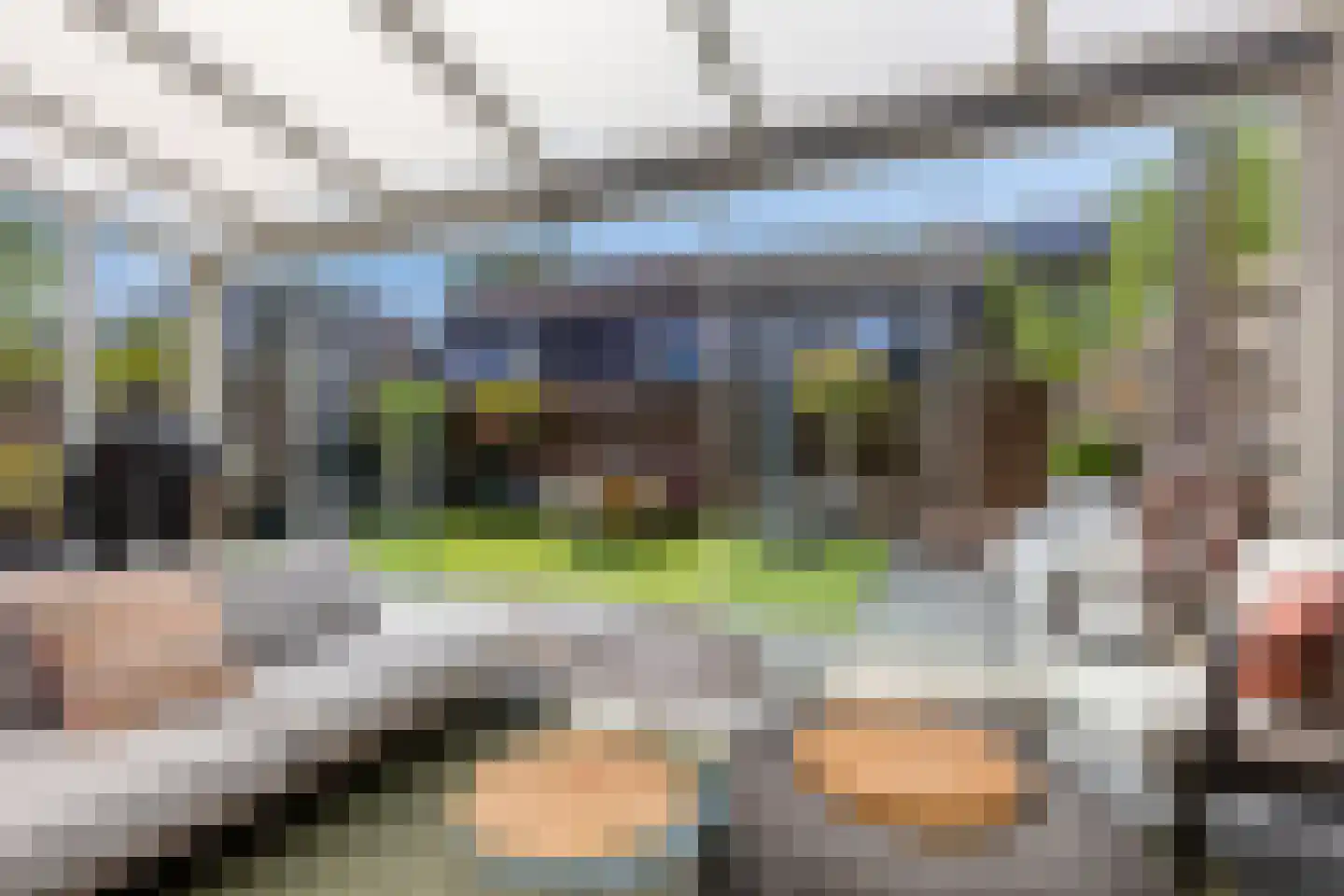Es 33 Leek thumbnail 4