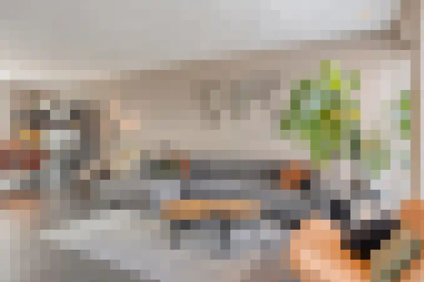 Es 33 Leek thumbnail 5