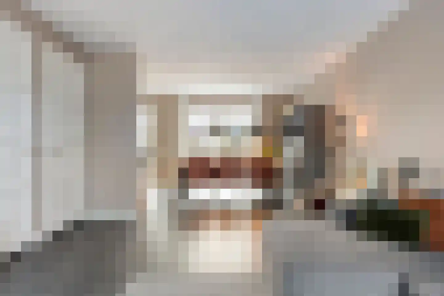 Es 33 Leek thumbnail 8