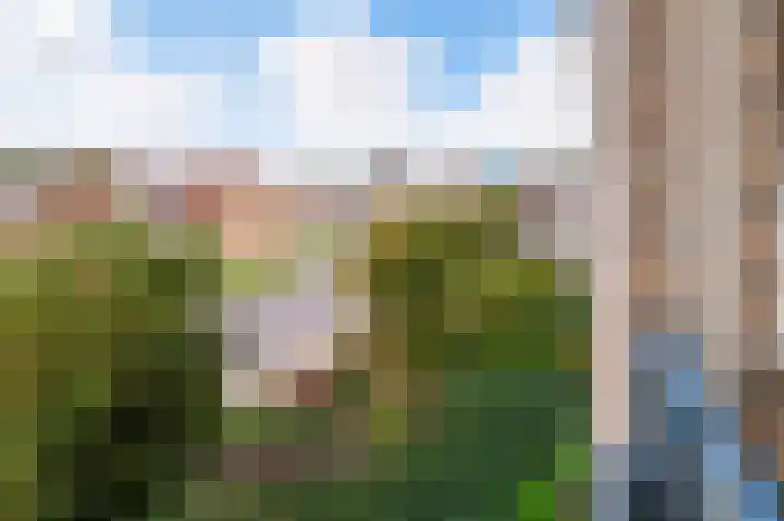 Es 37 f Neede thumbnail 13