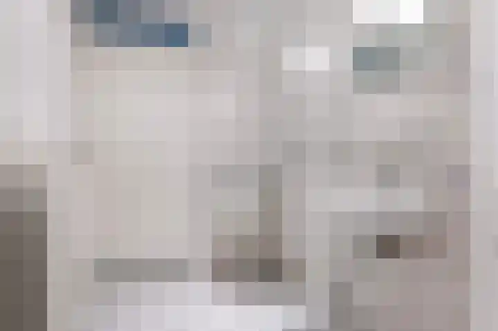 Es 37 f Neede thumbnail 25