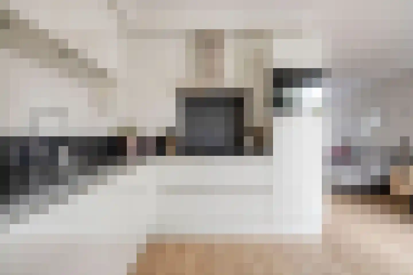 Es 41 Leek thumbnail 15