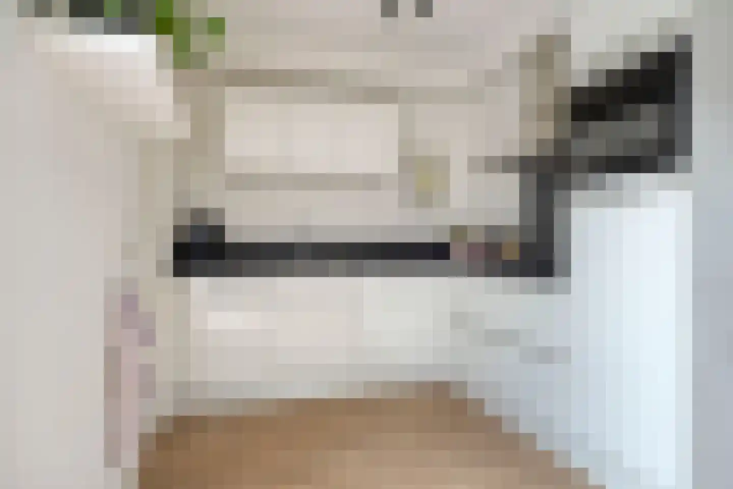 Es 41 Leek thumbnail 16