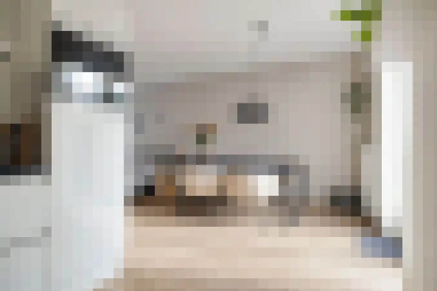 Es 41 Leek thumbnail 17