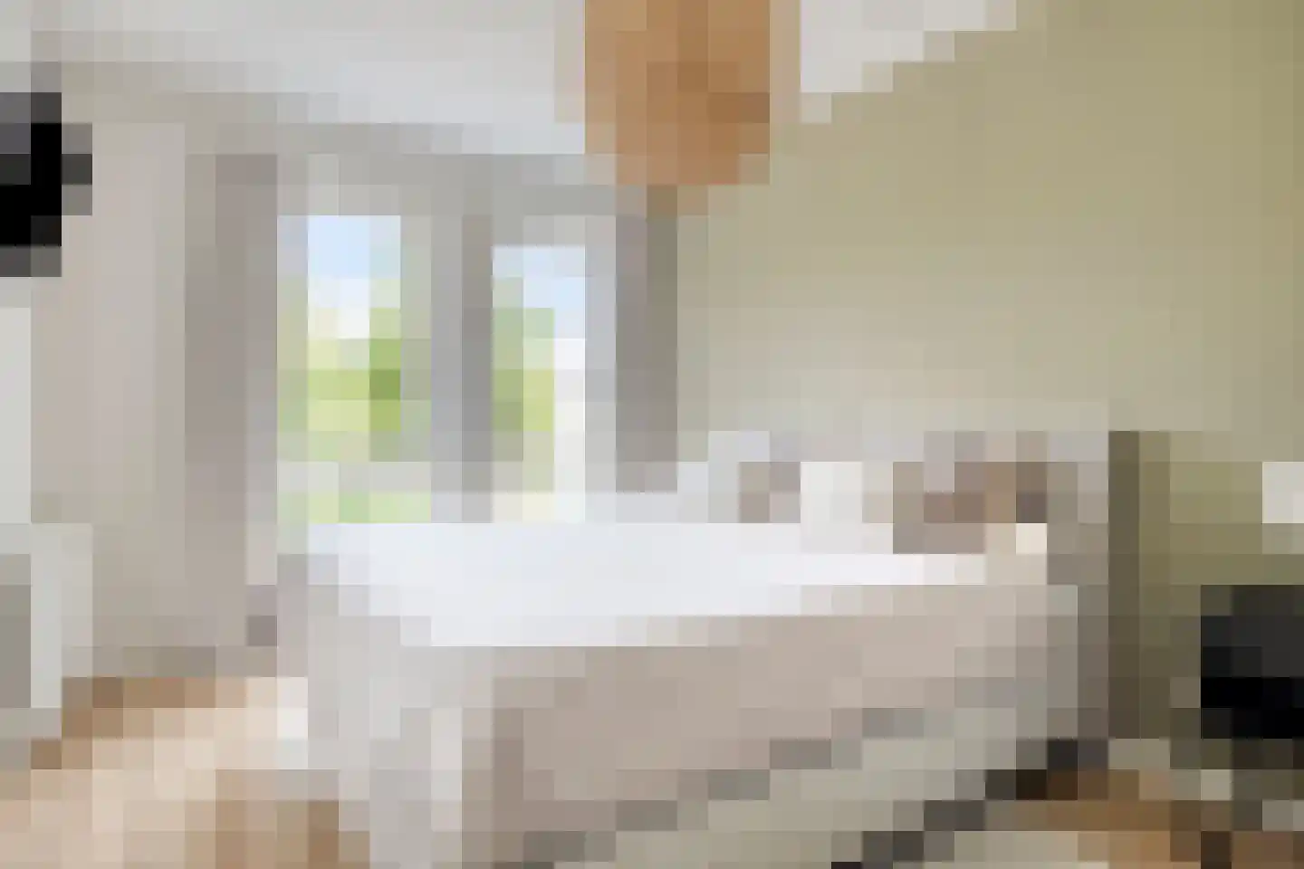 Es 41 Leek thumbnail 20
