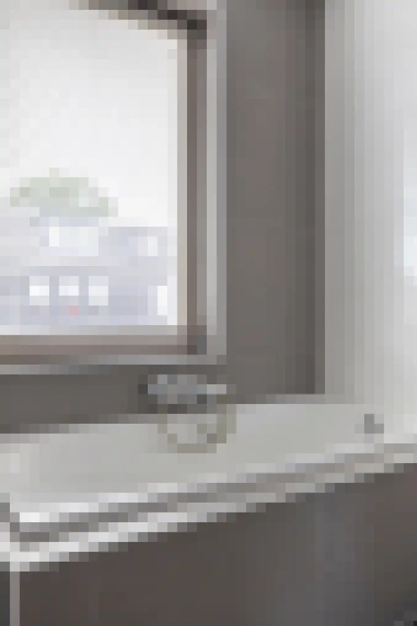 Es 41 Leek thumbnail 23