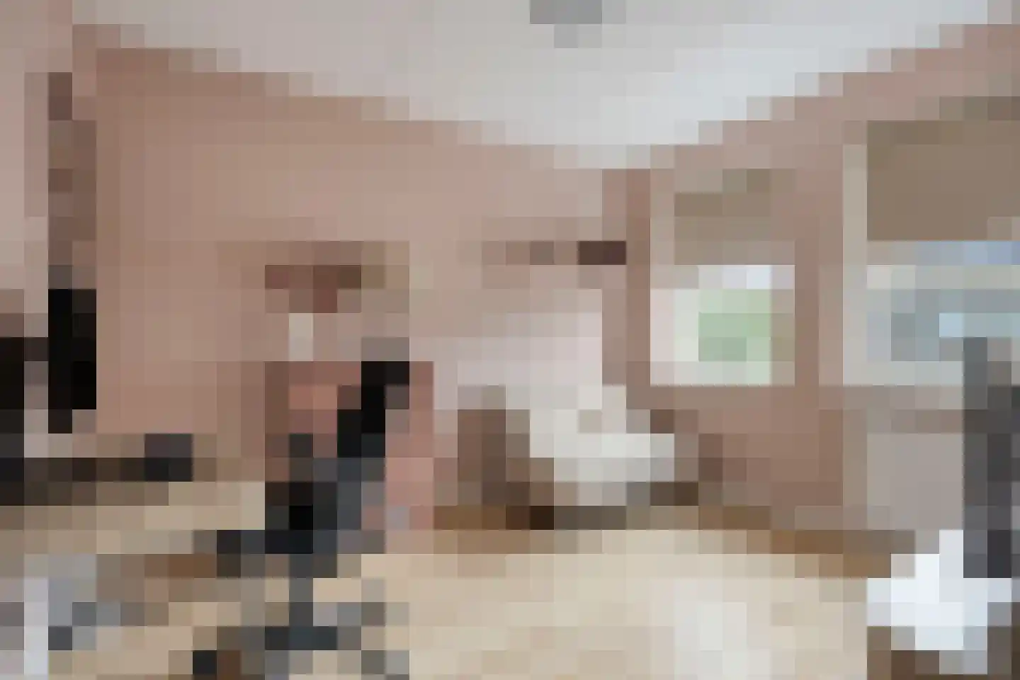 Es 41 Leek thumbnail 26