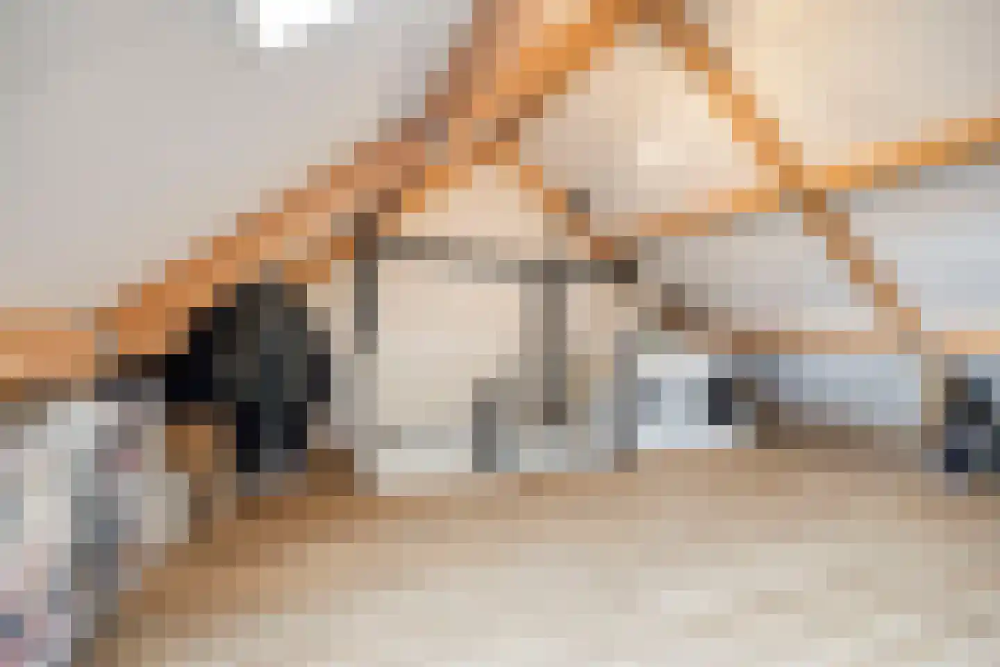 Es 41 Leek thumbnail 30