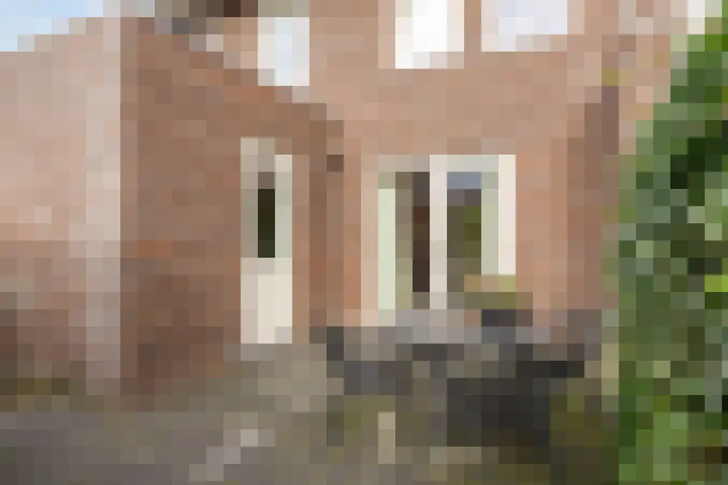 Es 41 Leek thumbnail 32