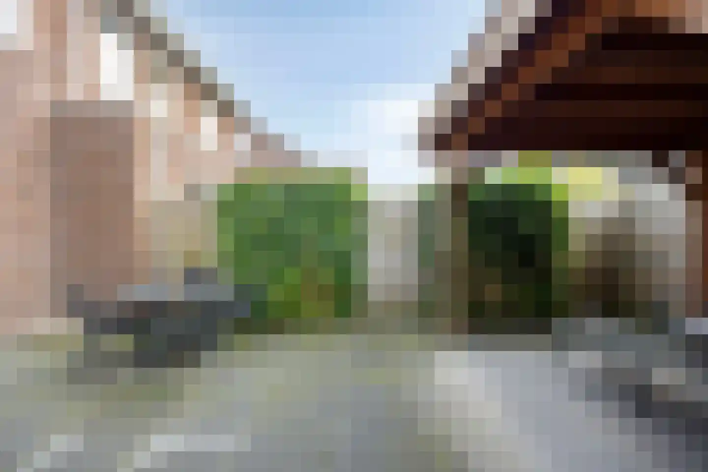 Es 41 Leek thumbnail 33