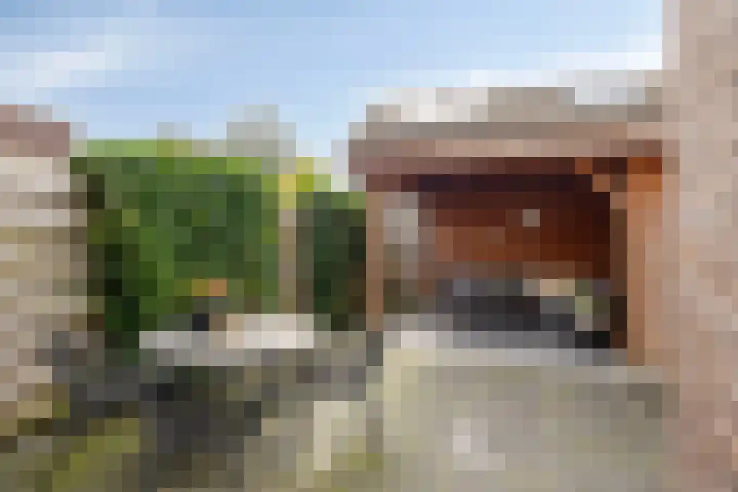 Es 41 Leek thumbnail 34