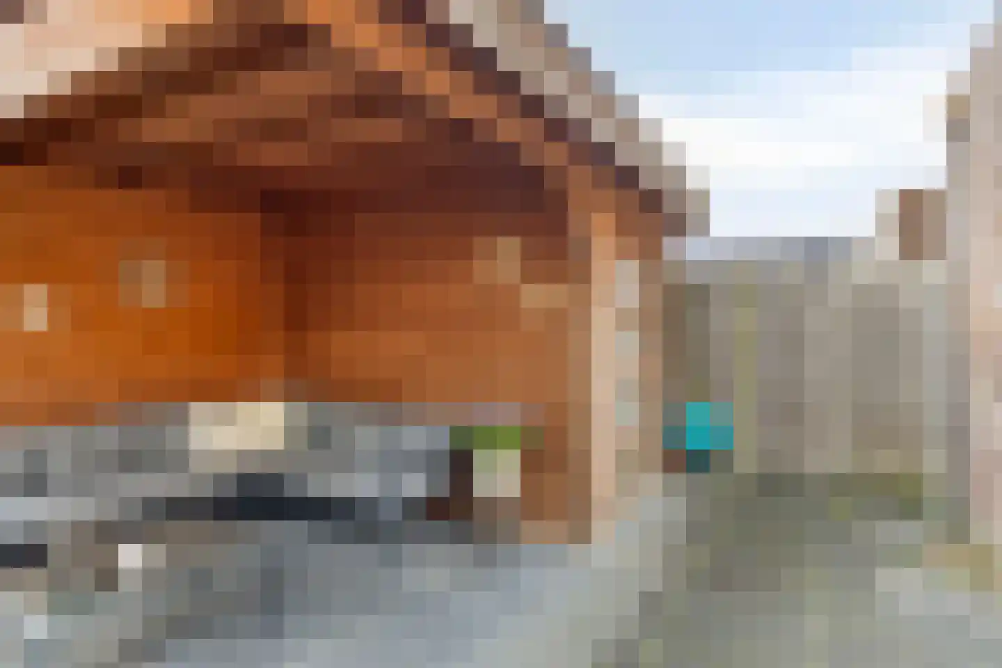 Es 41 Leek thumbnail 35