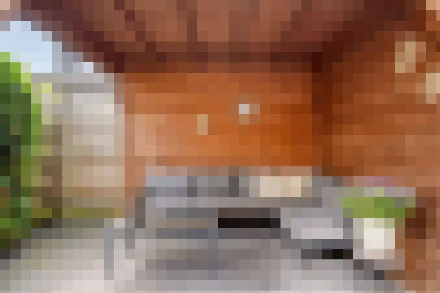 Es 41 Leek thumbnail 36