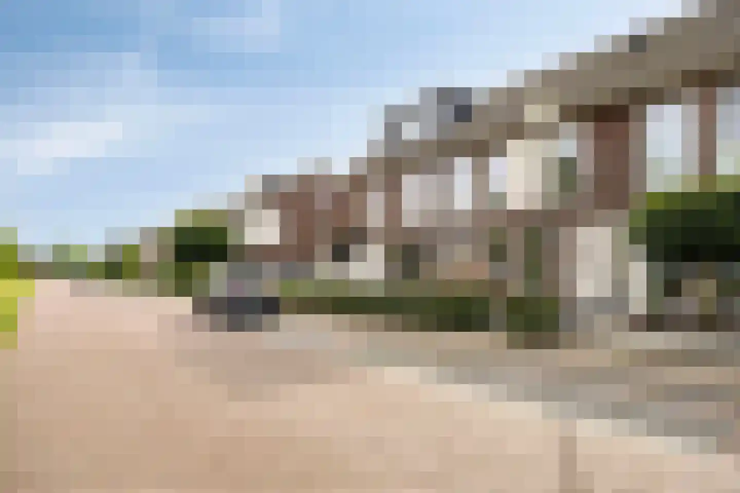Es 41 Leek thumbnail 37