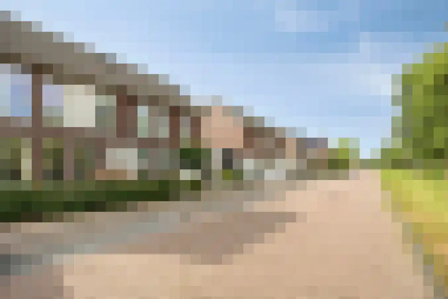 Es 41 Leek thumbnail 38
