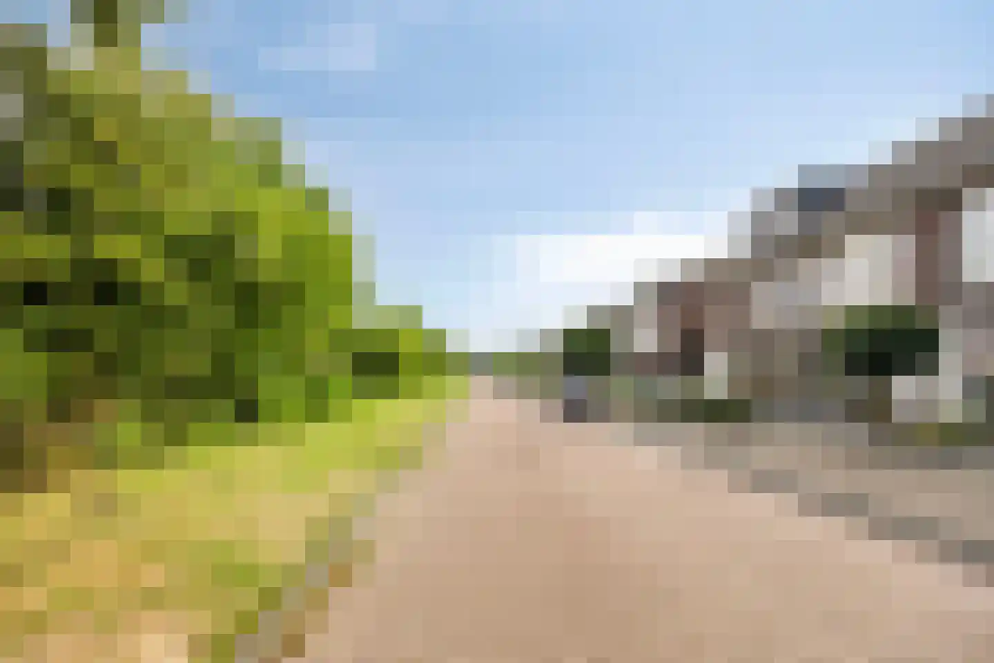 Es 41 Leek thumbnail 39