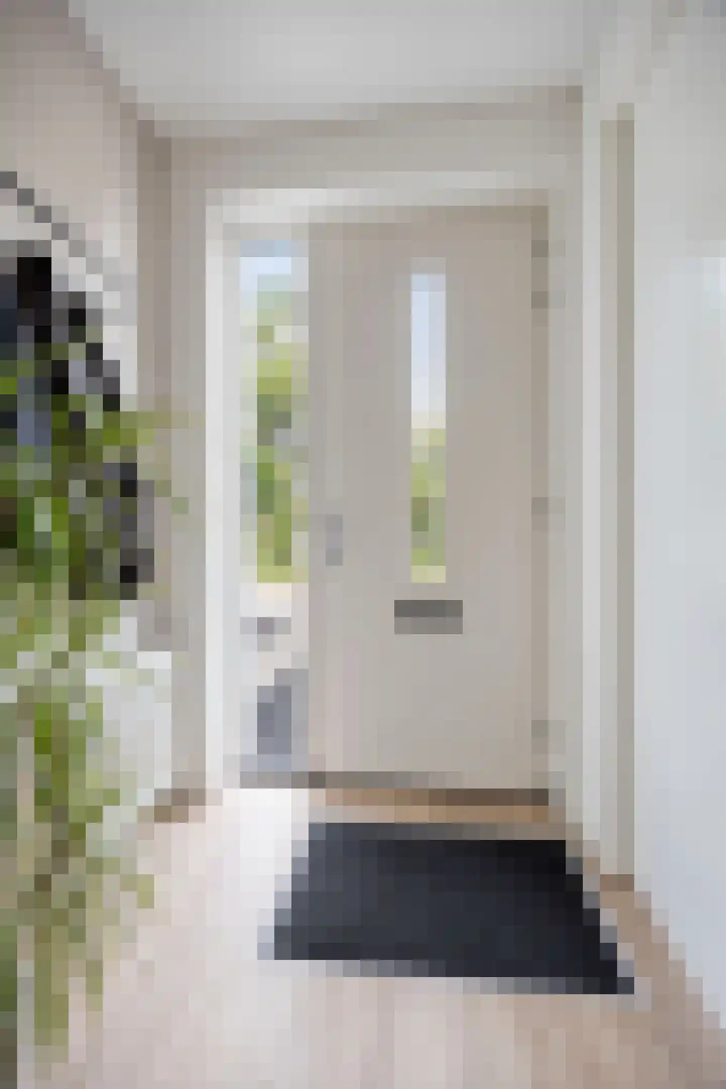 Es 41 Leek thumbnail 8