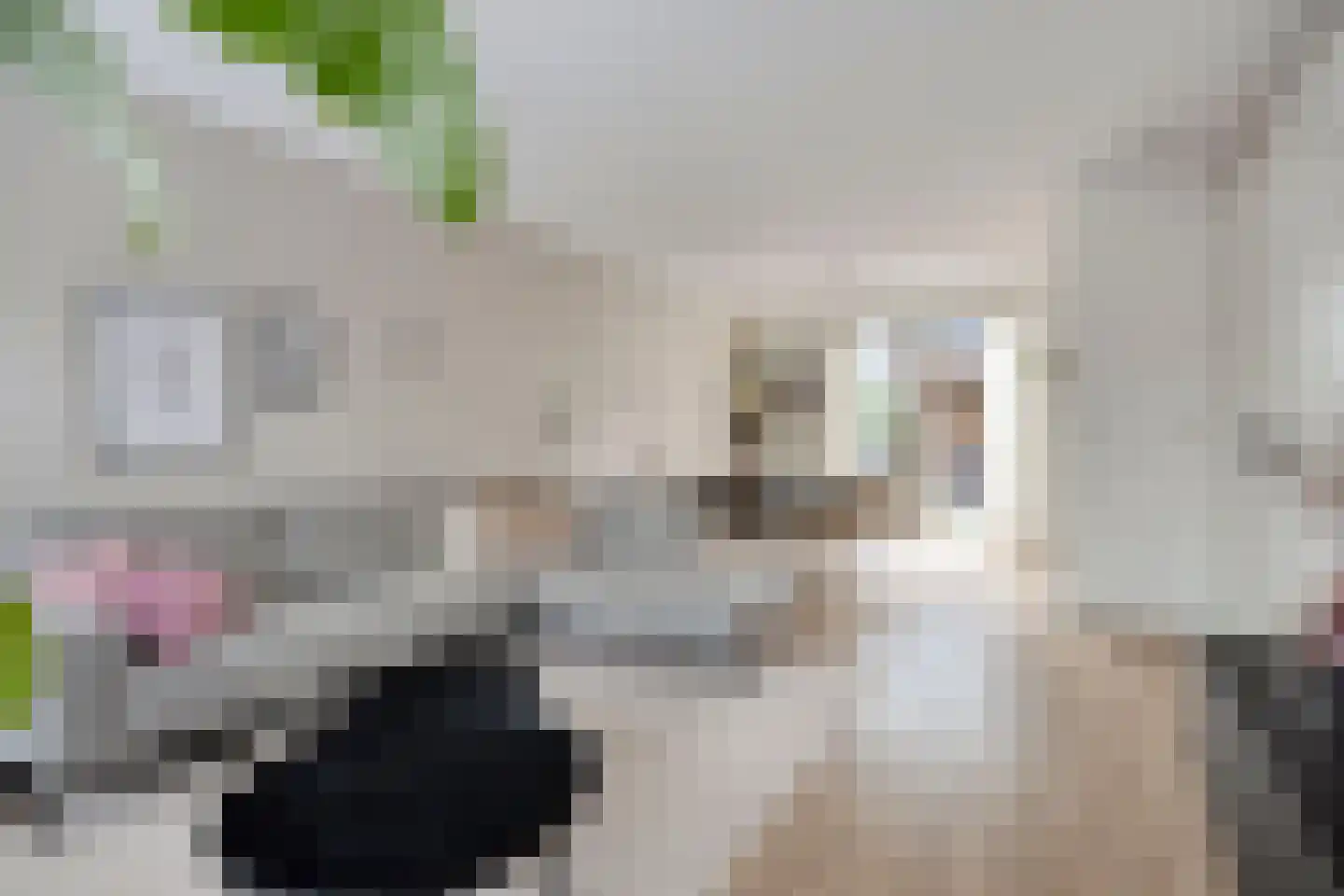 Es 41 Leek thumbnail 9