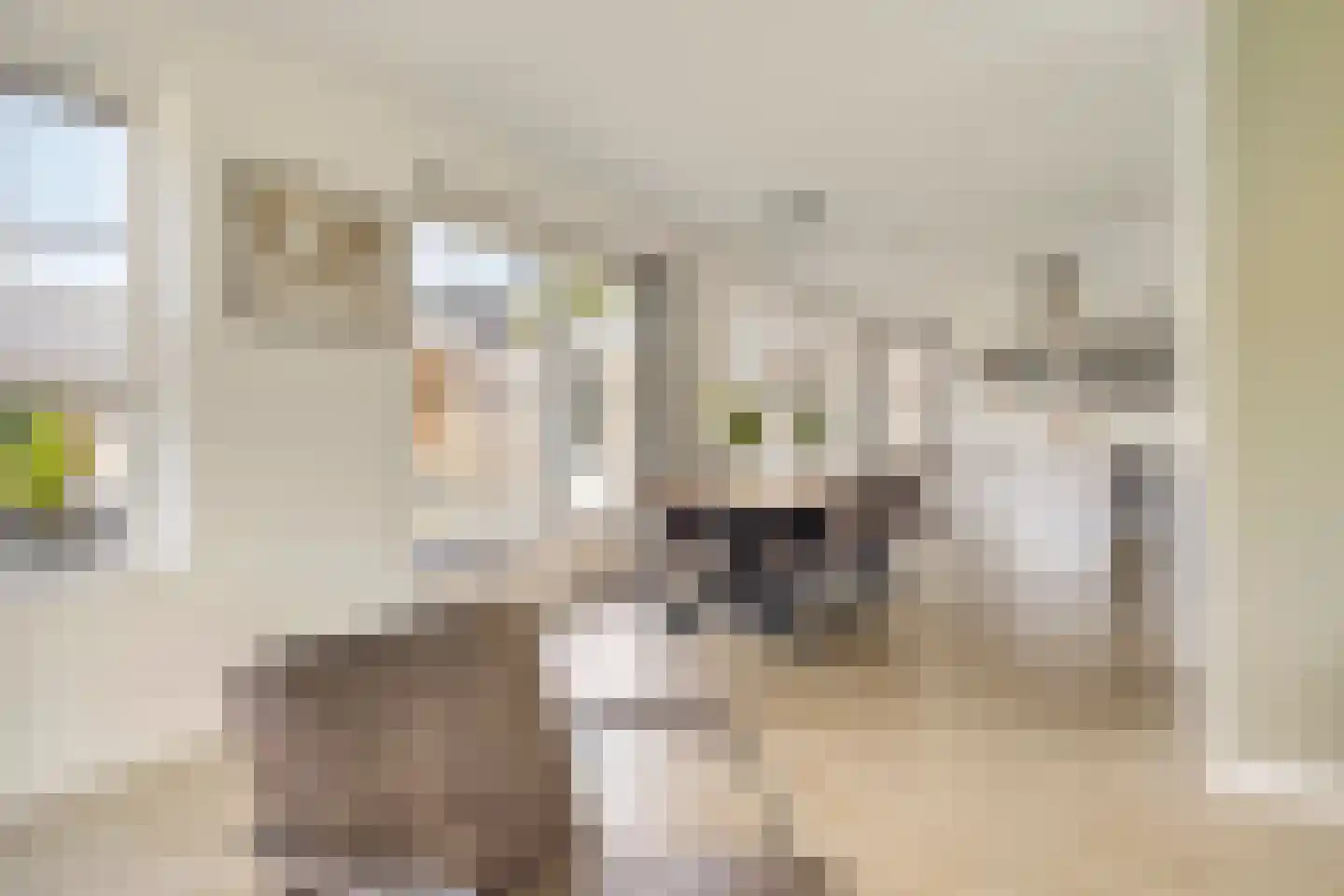 Es 65 Leek thumbnail 10