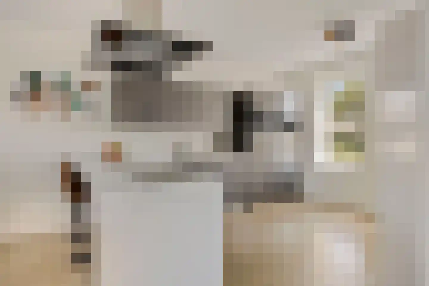 Es 65 Leek thumbnail 12