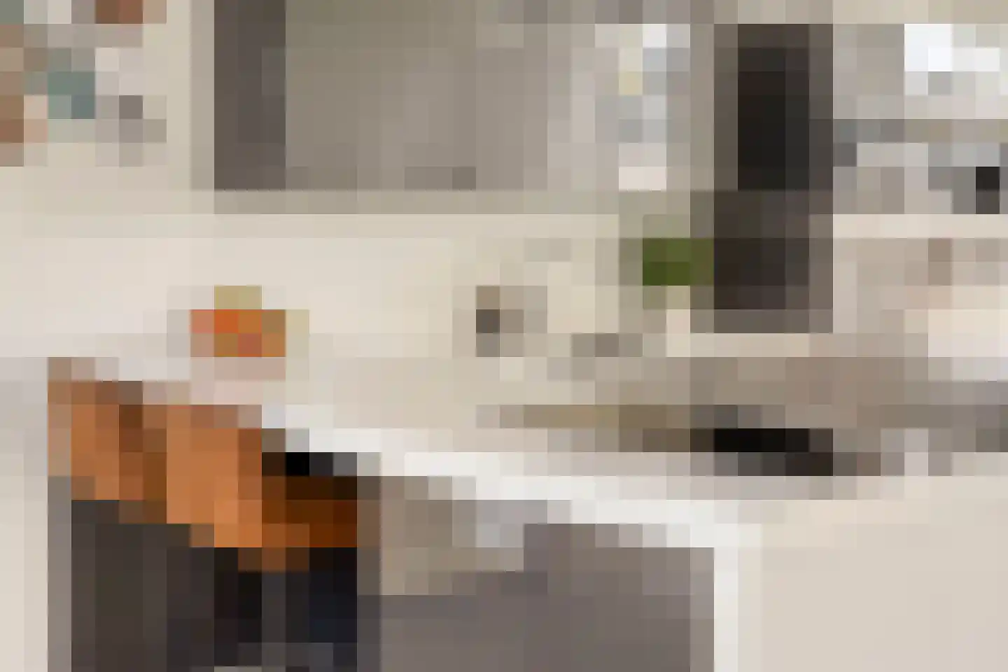 Es 65 Leek thumbnail 13