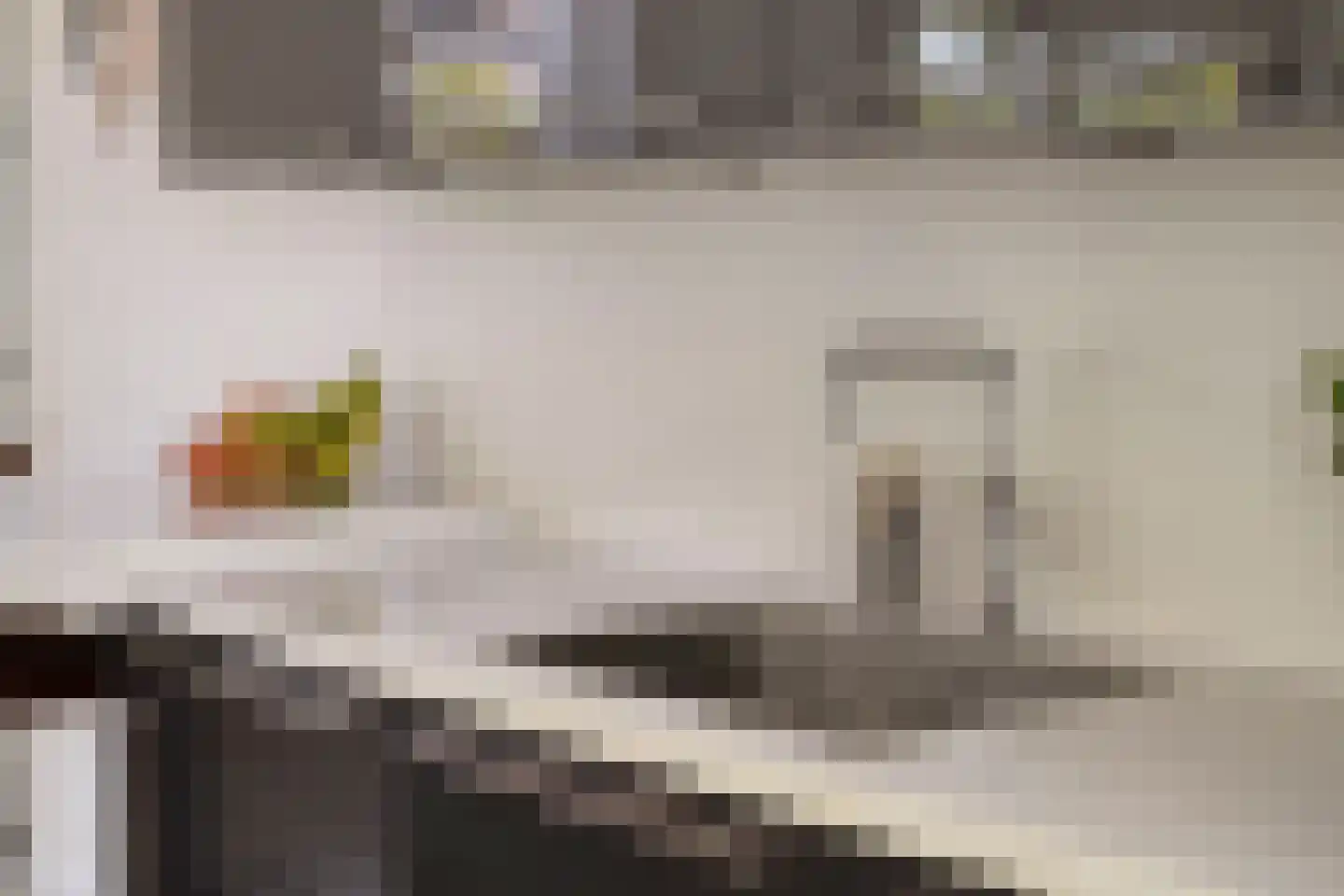Es 65 Leek thumbnail 16