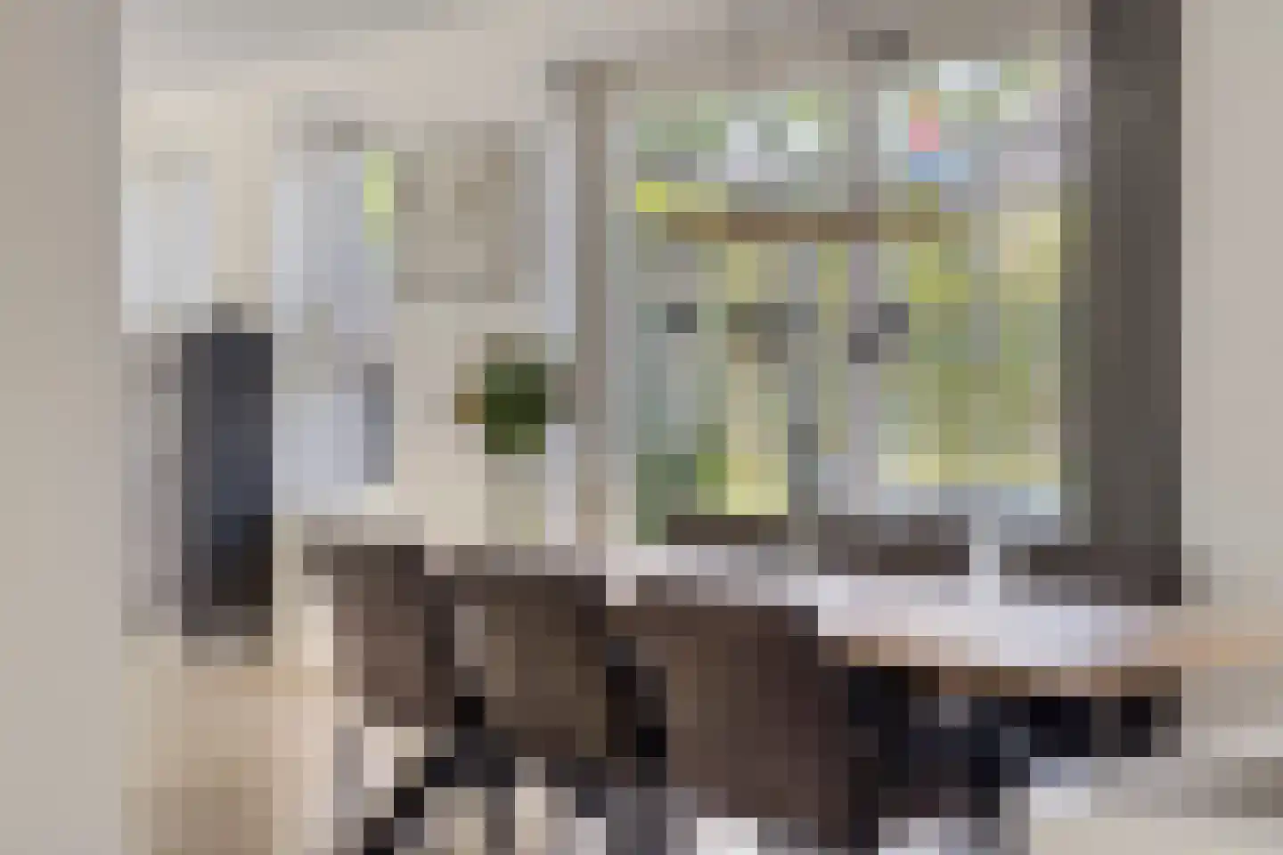 Es 65 Leek thumbnail 20