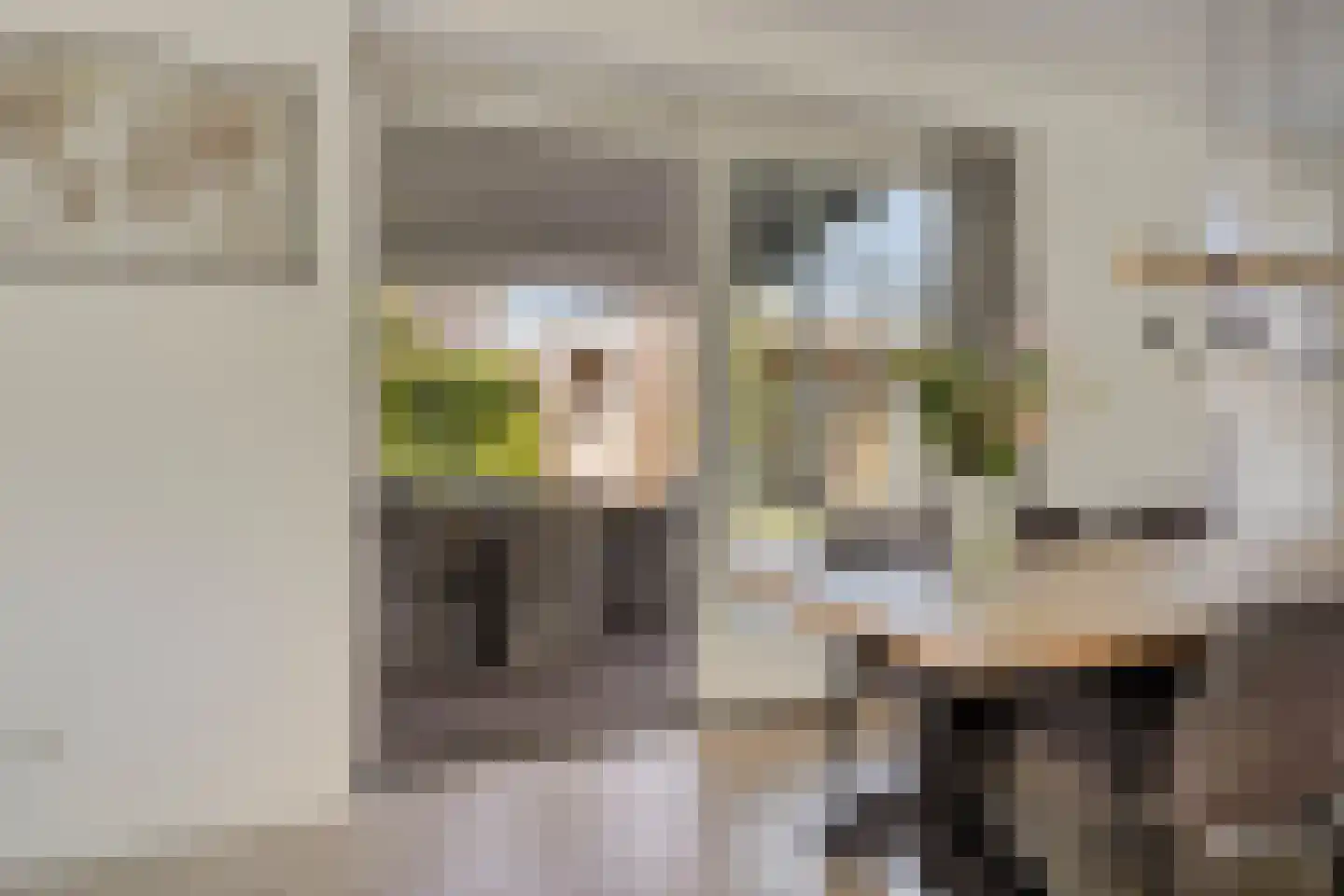 Es 65 Leek thumbnail 21
