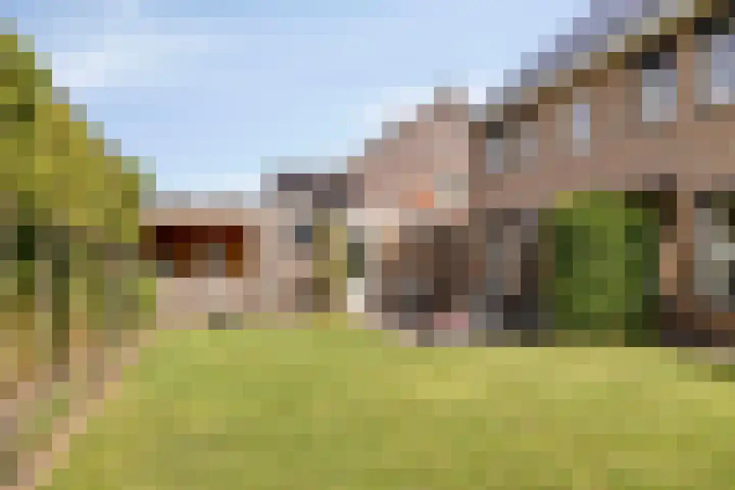 Es 65 Leek thumbnail 25