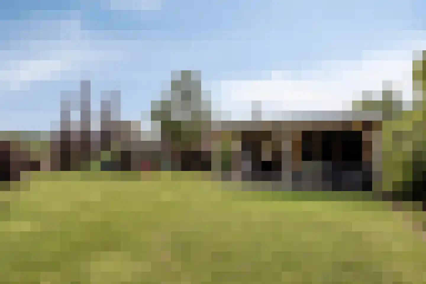 Es 65 Leek thumbnail 26
