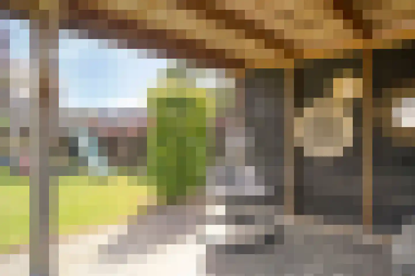 Es 65 Leek thumbnail 28