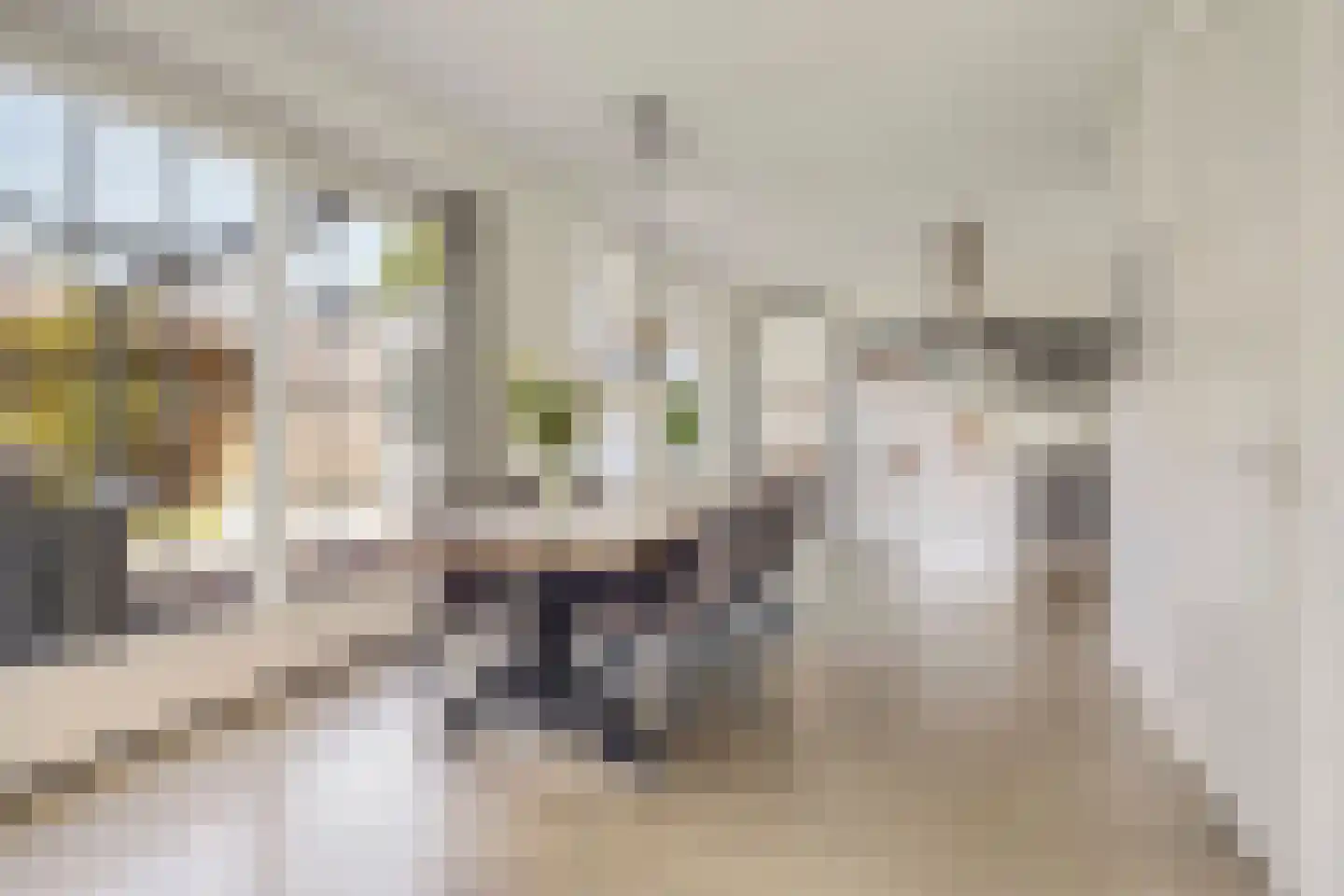 Es 65 Leek foto 3