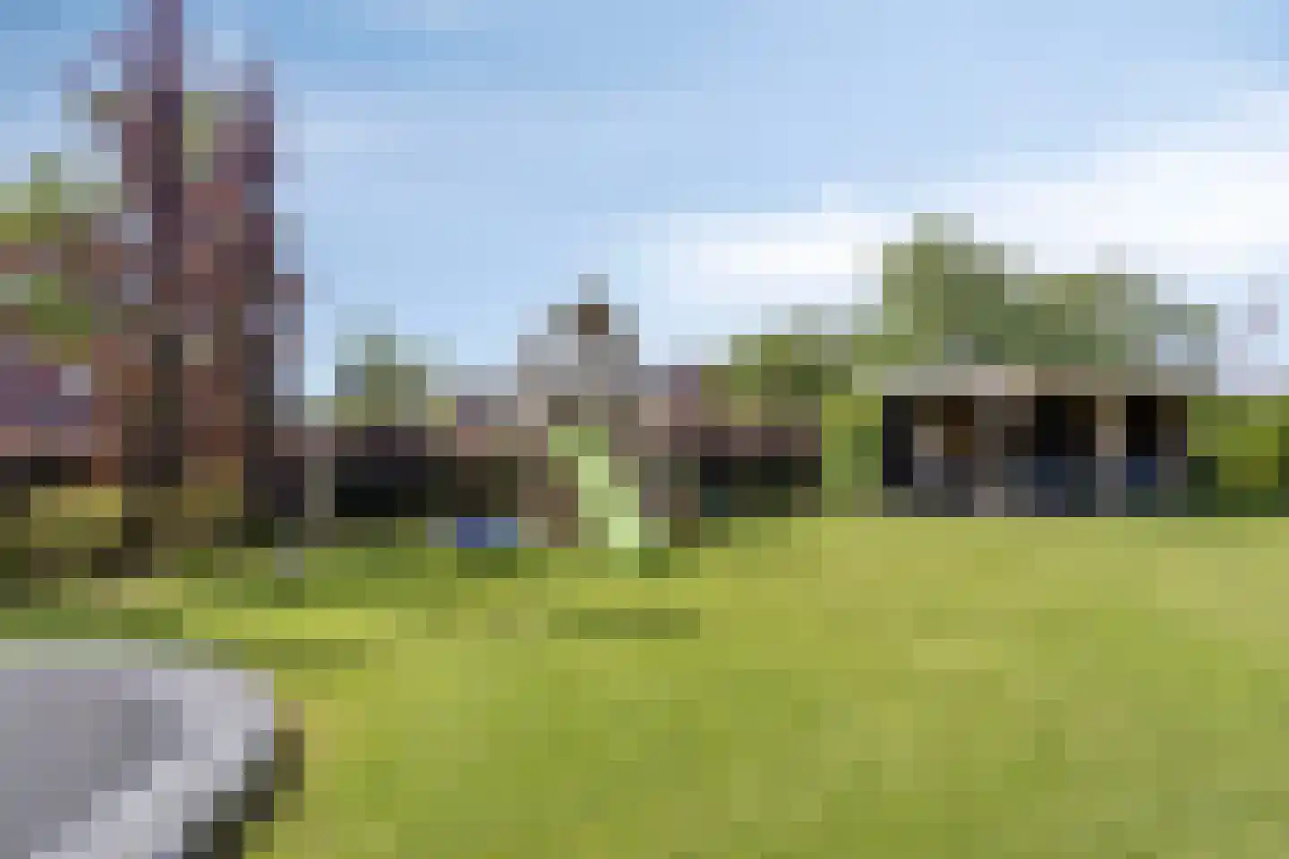 Es 65 Leek thumbnail 30