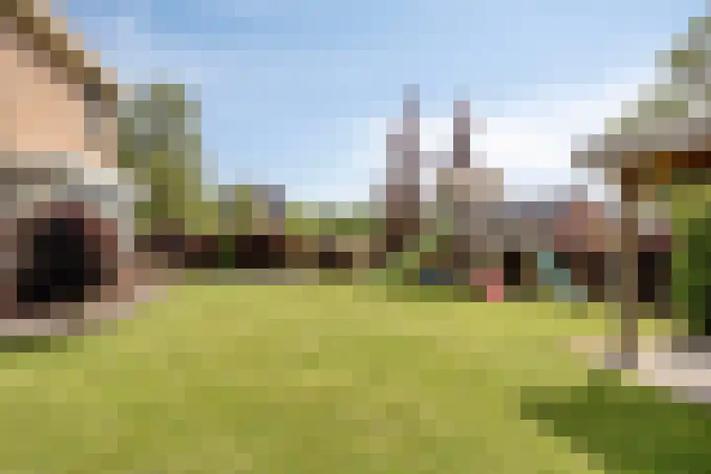 Es 65 Leek thumbnail 31