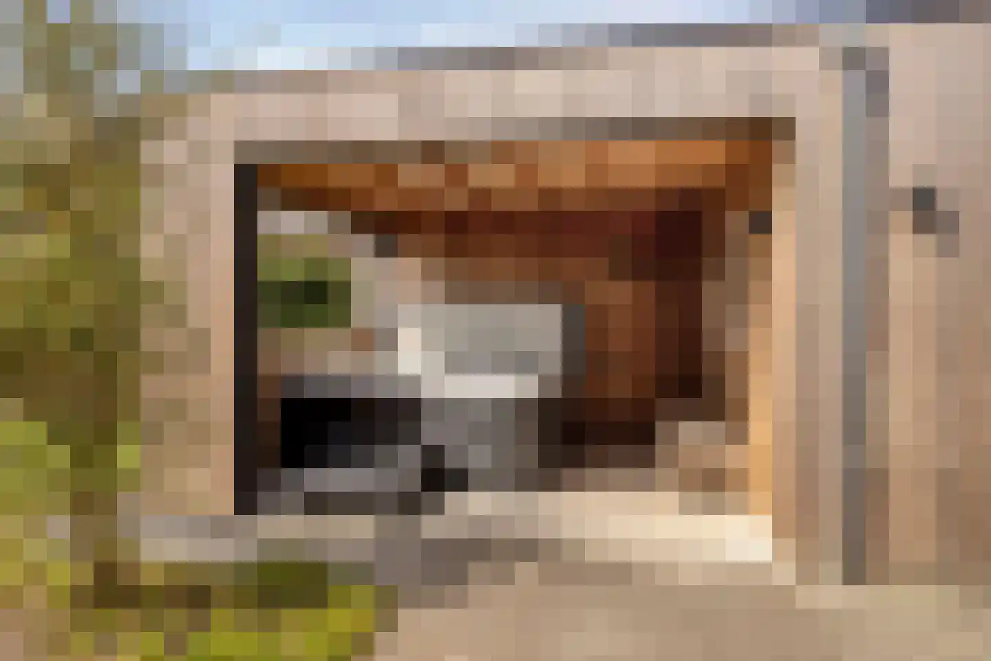 Es 65 Leek thumbnail 33
