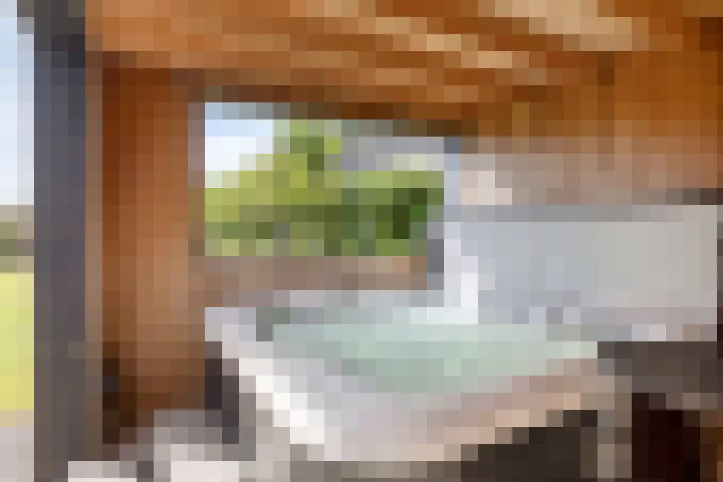 Es 65 Leek thumbnail 34