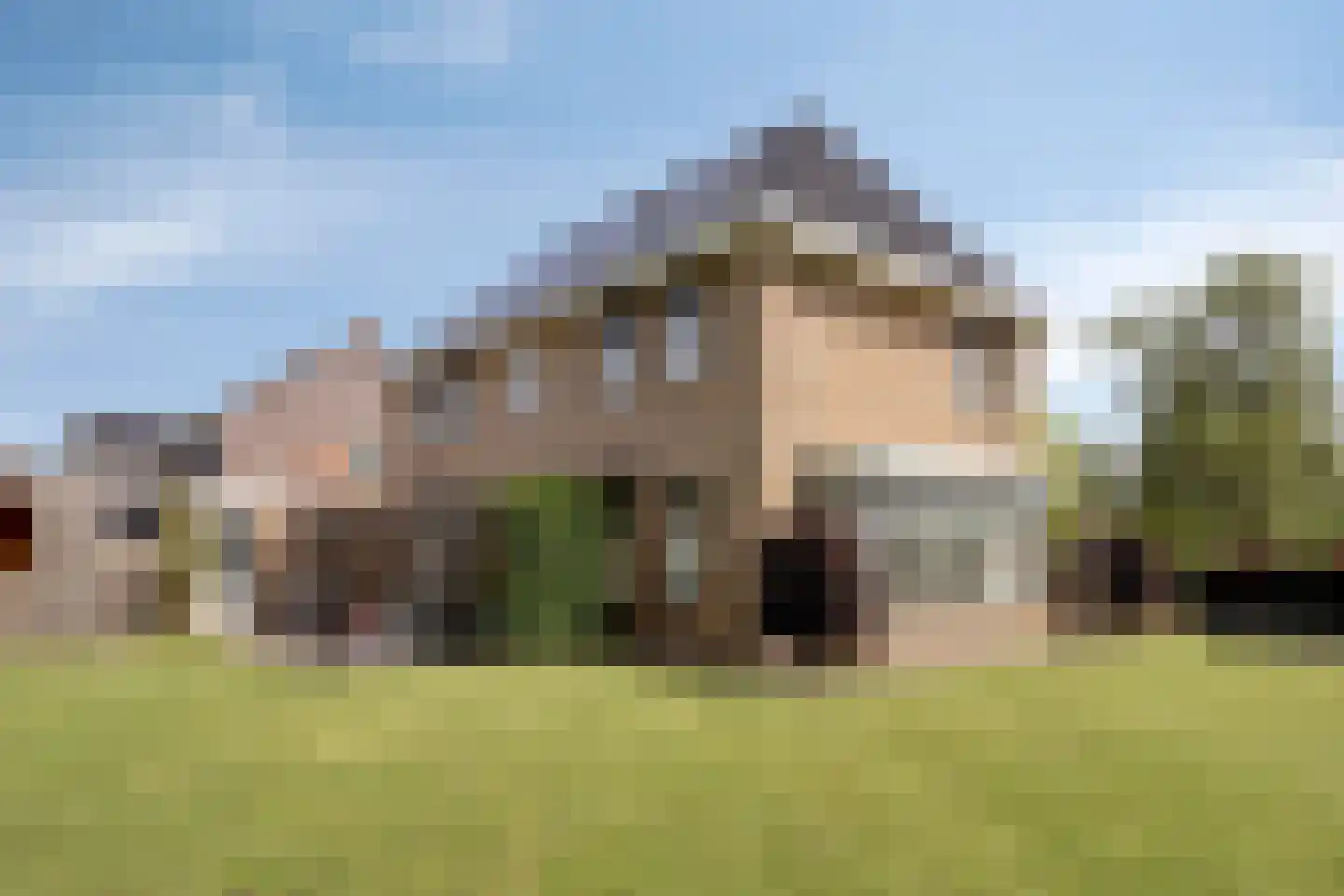 Es 65 Leek thumbnail 35