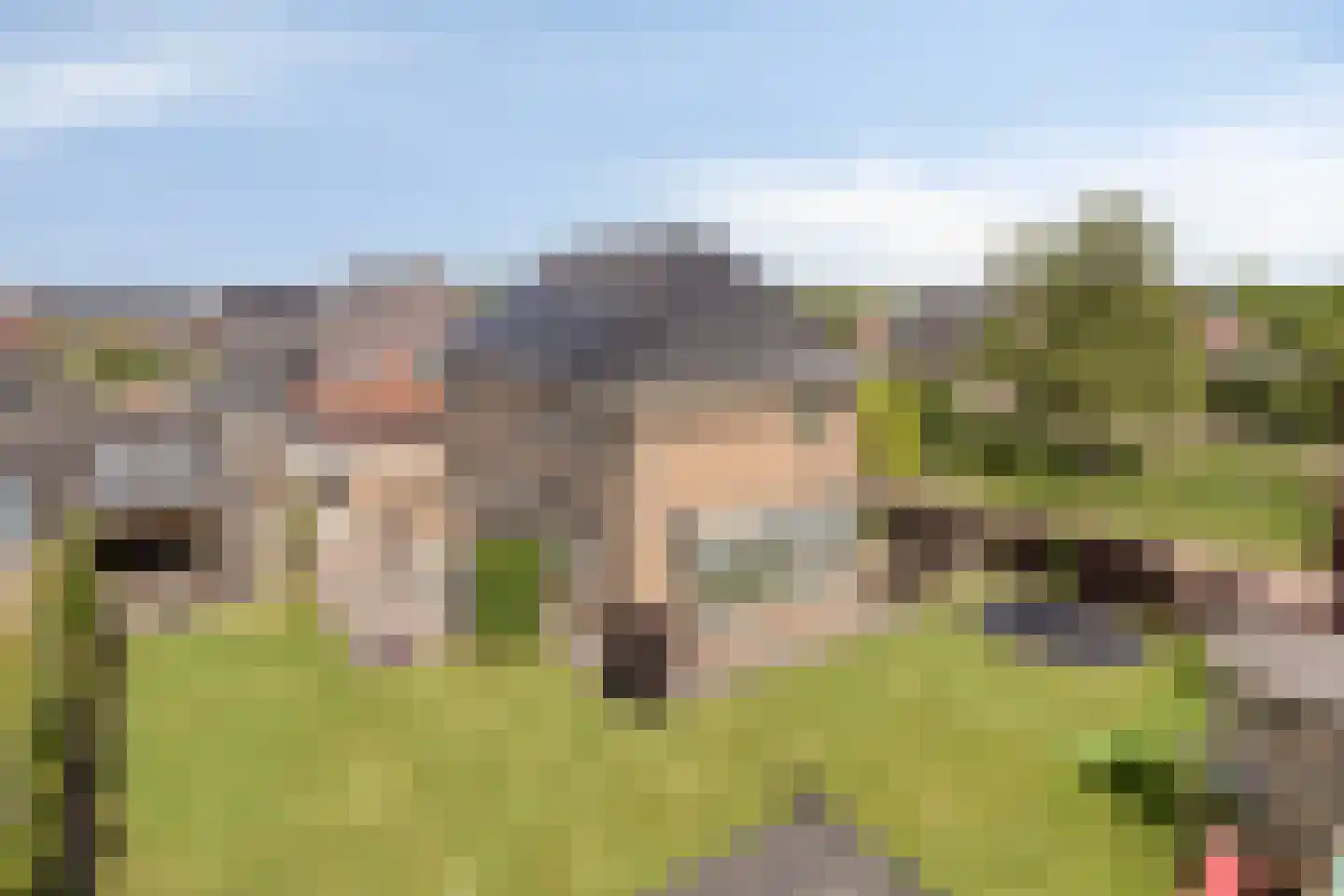Es 65 Leek thumbnail 36