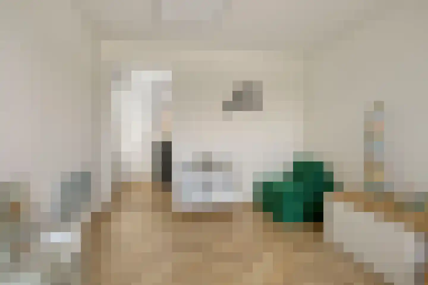 Es 65 Leek thumbnail 37