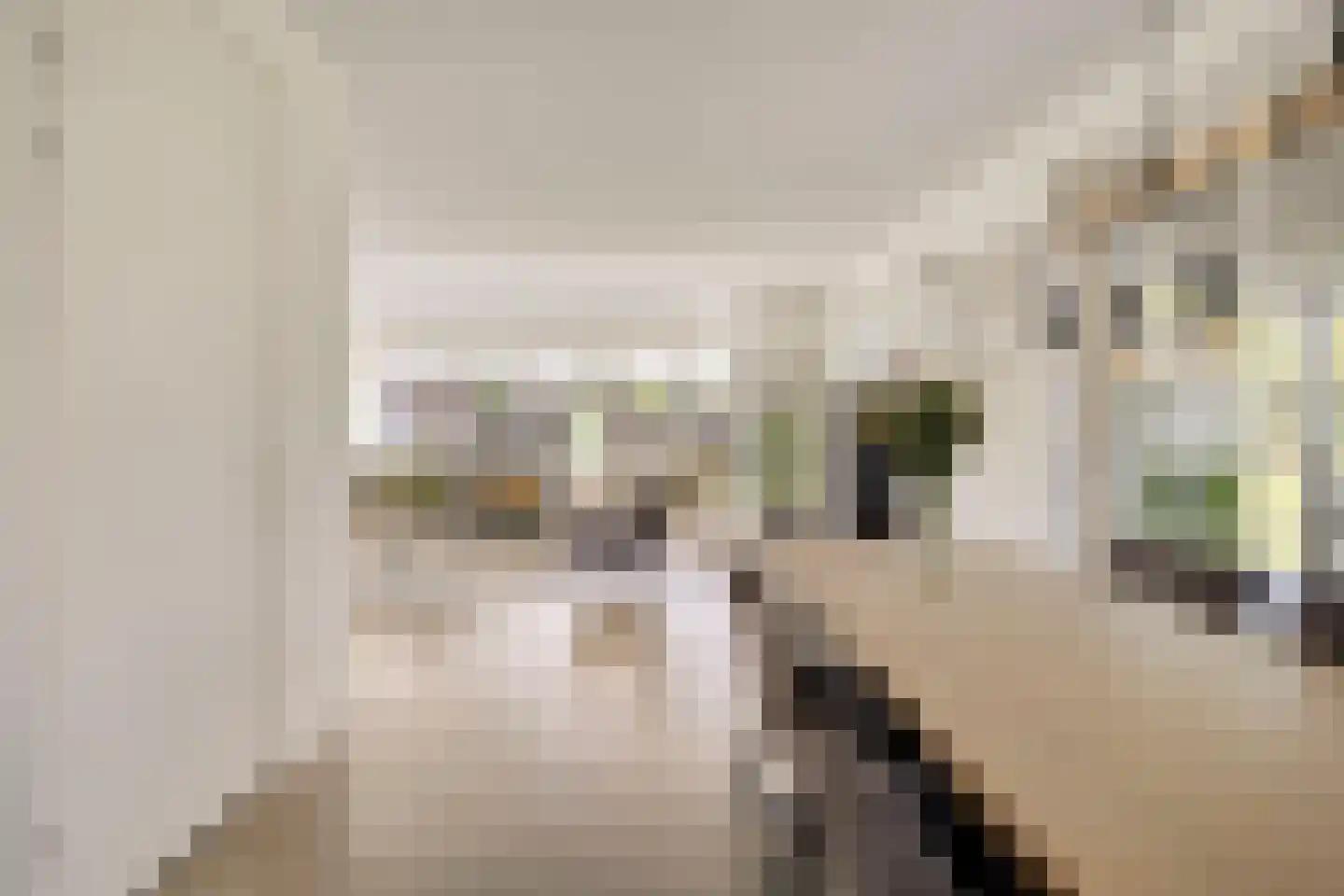 Es 65 Leek thumbnail 4