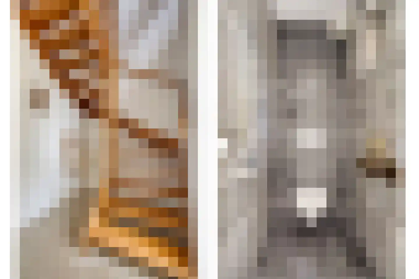 Es 65 Leek thumbnail 41