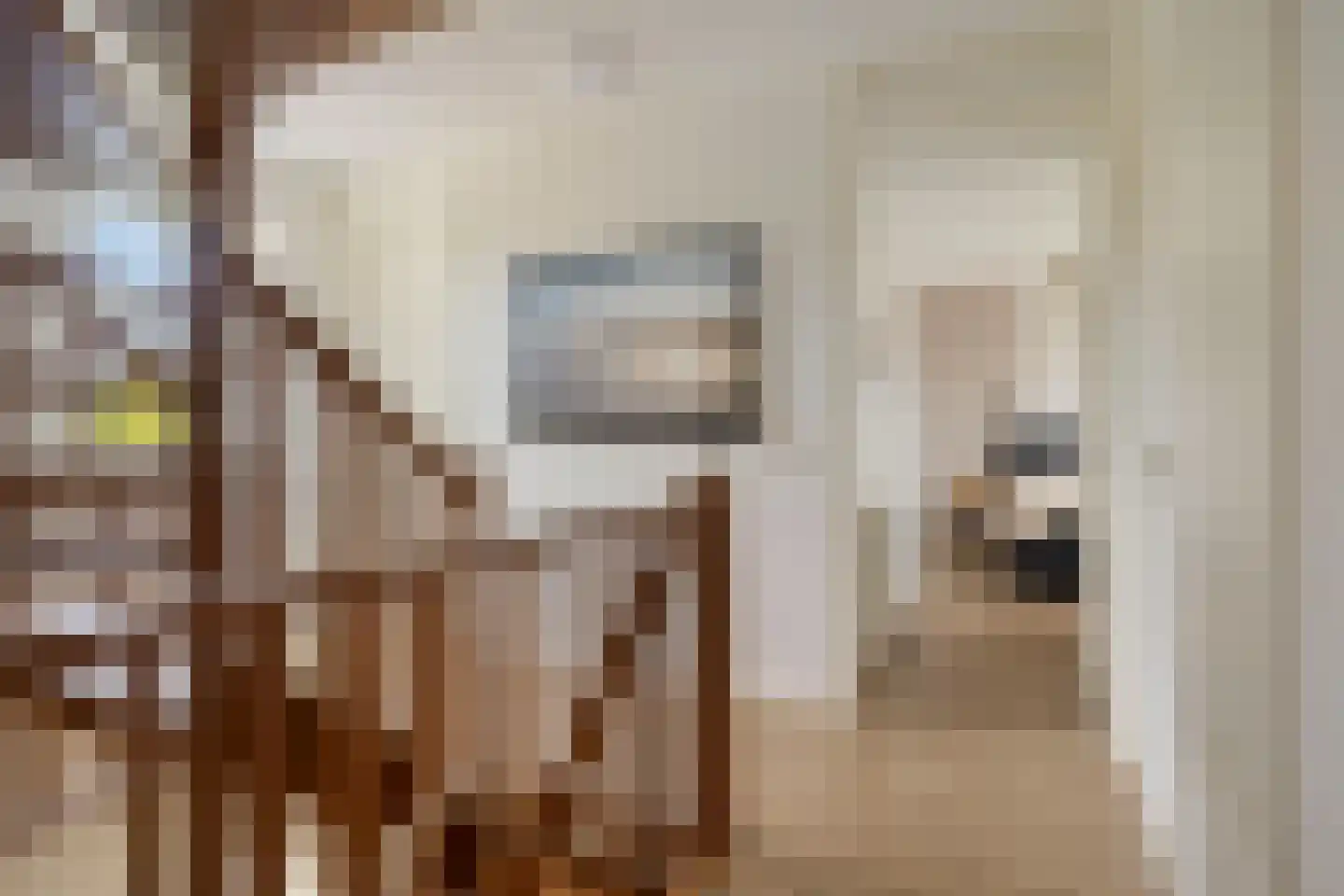 Es 65 Leek thumbnail 42