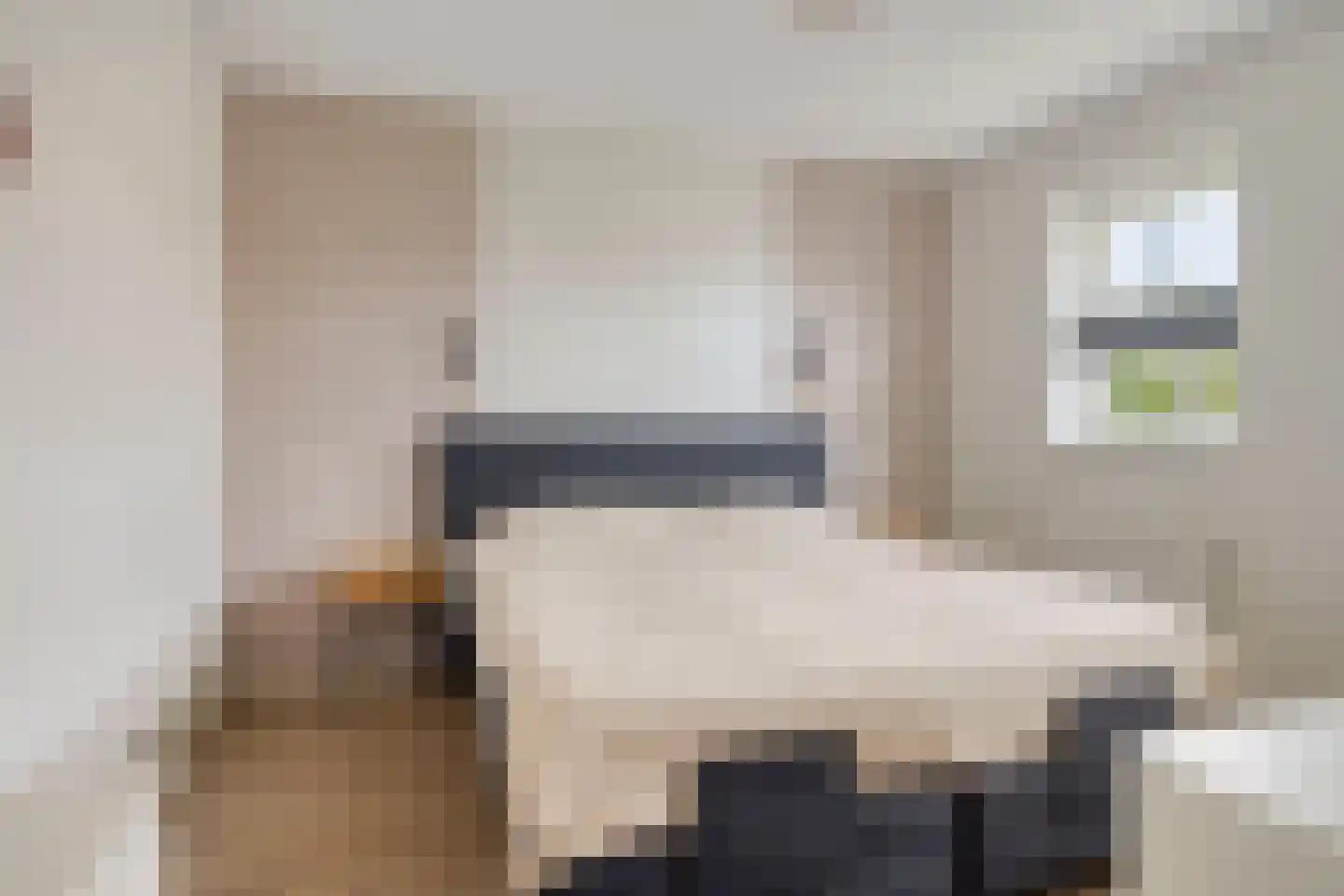 Es 65 Leek thumbnail 44