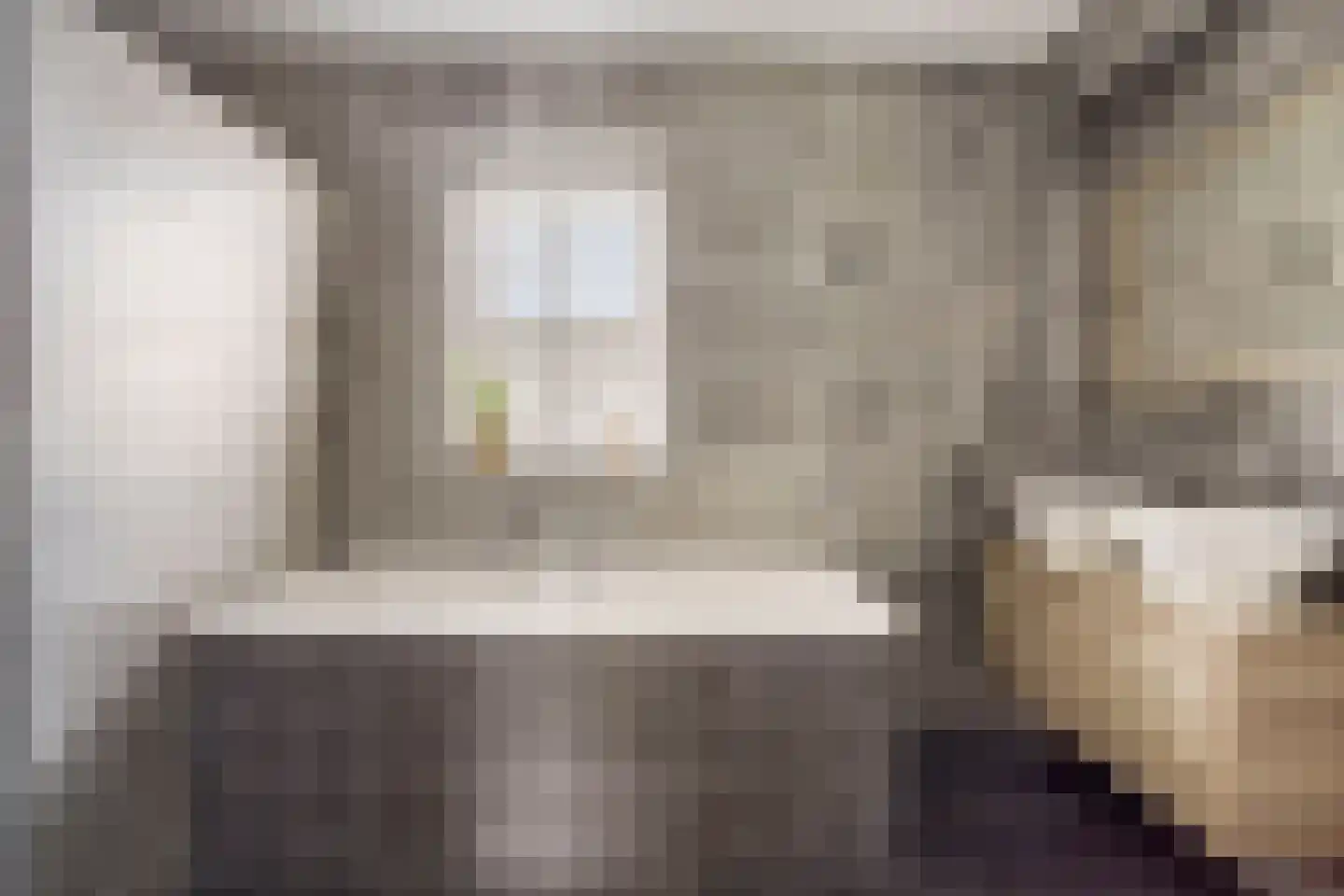 Es 65 Leek thumbnail 46