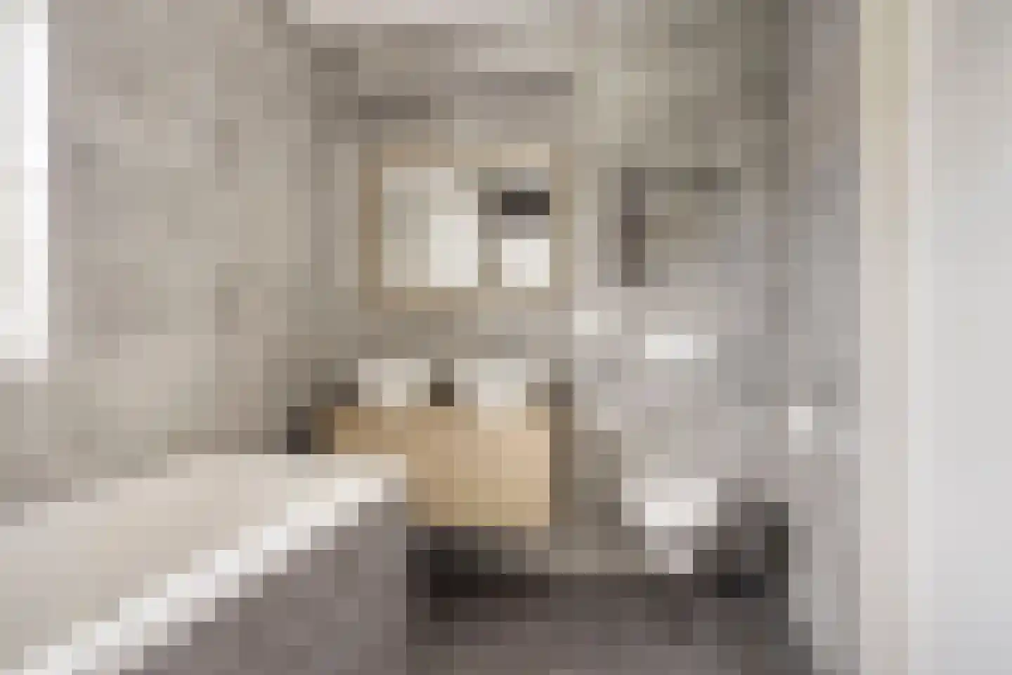 Es 65 Leek thumbnail 47