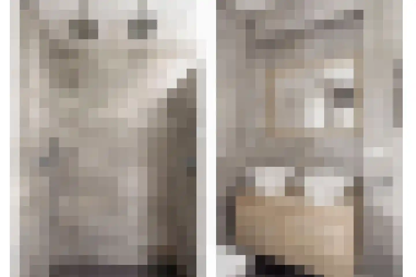 Es 65 Leek thumbnail 48