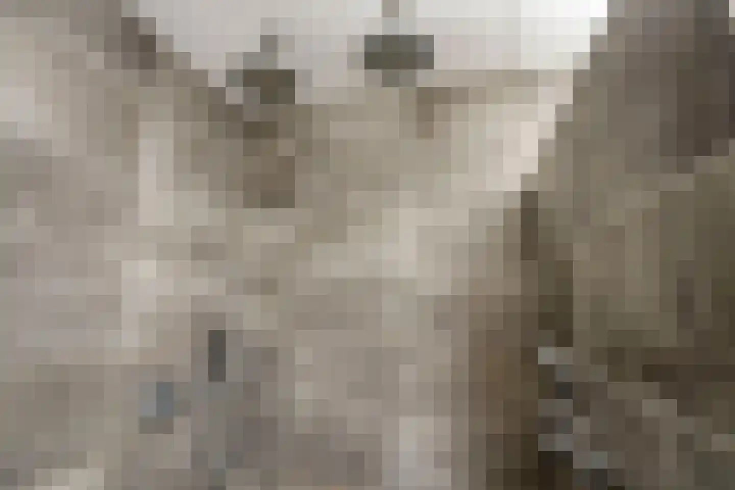 Es 65 Leek thumbnail 49