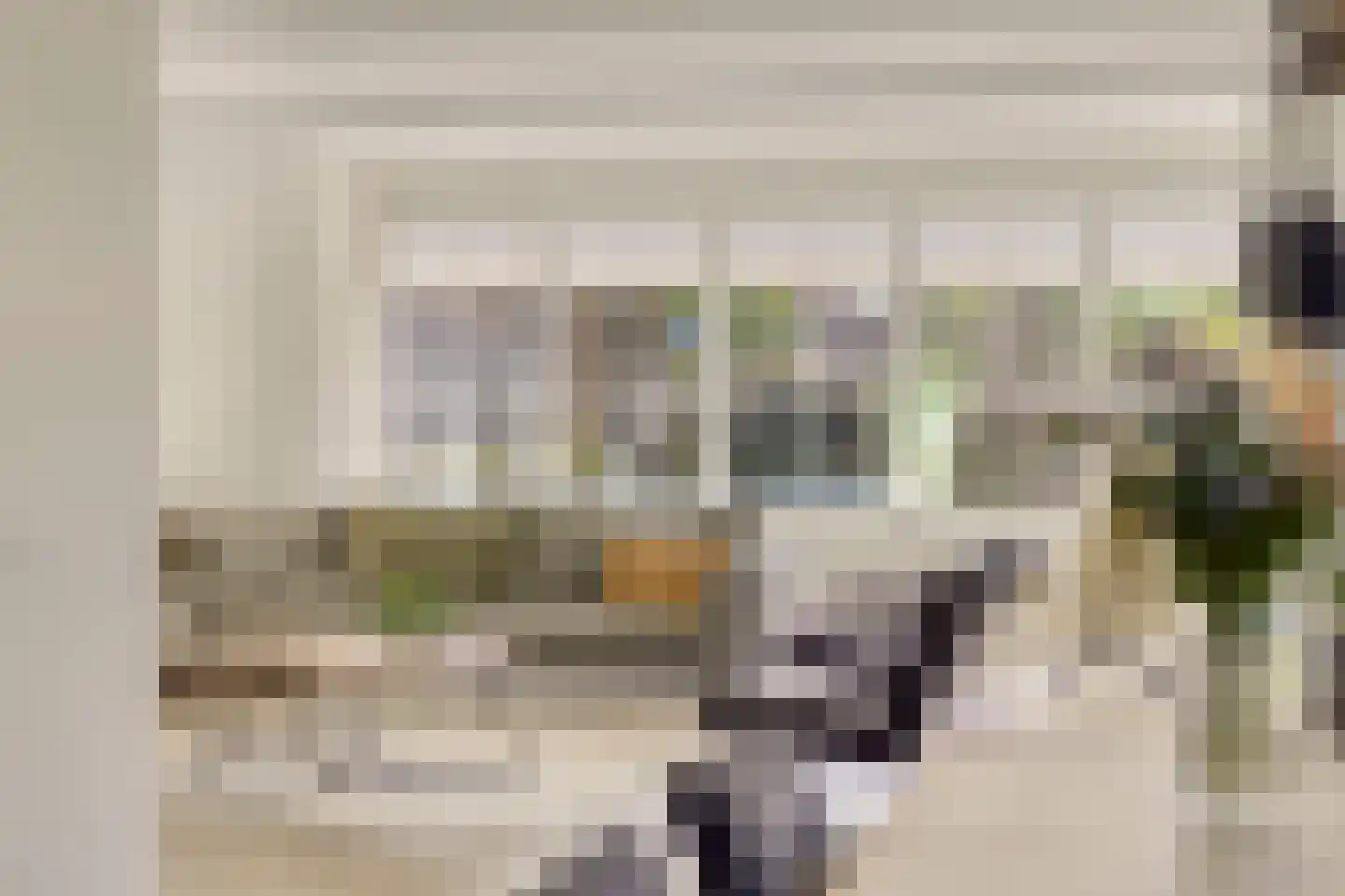Es 65 Leek thumbnail 5
