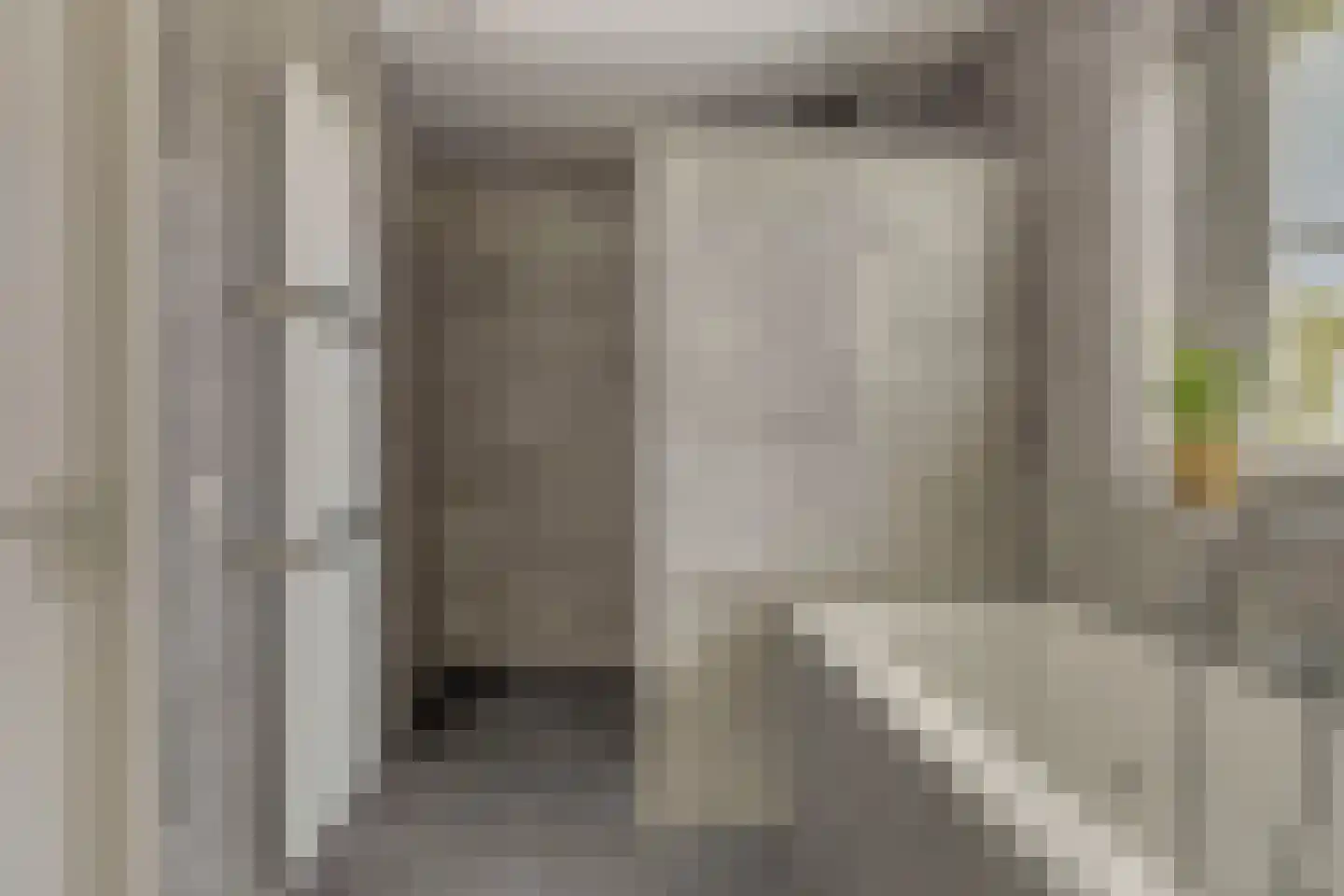 Es 65 Leek thumbnail 50